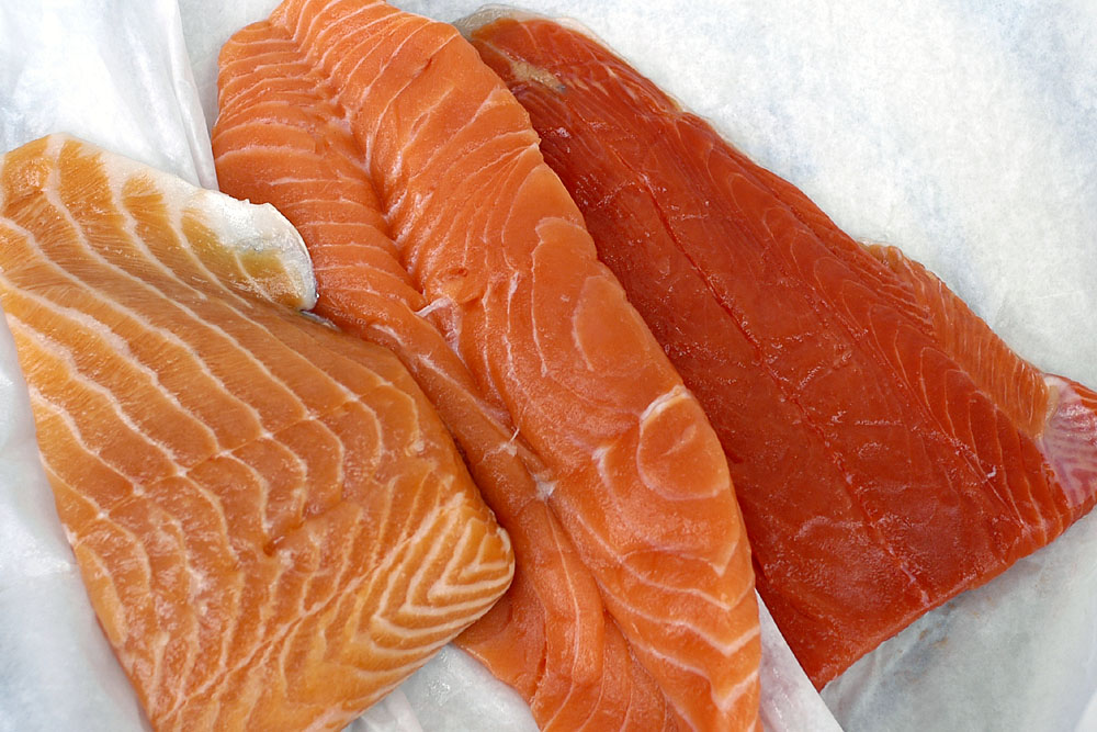 salmon451.jpg